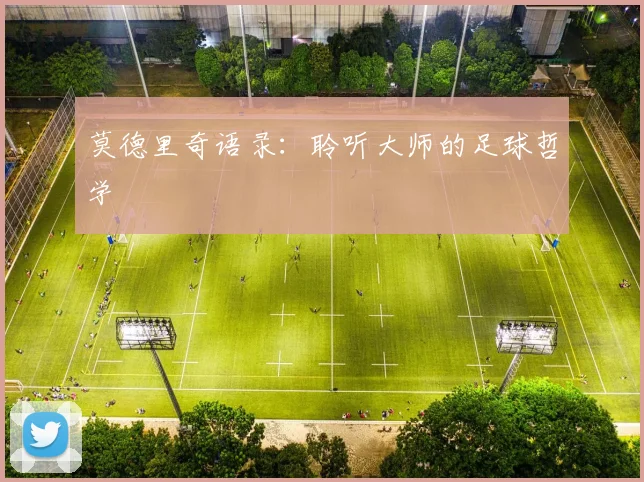 莫德里奇语录:聆听大师的足球哲学