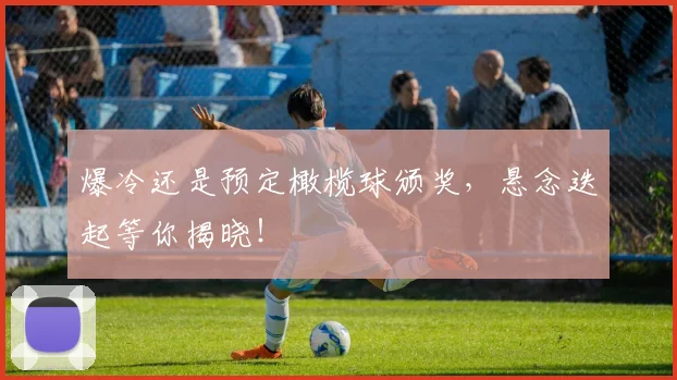 爆冷还是预定橄榄球颁奖,悬念迭起等你揭晓!