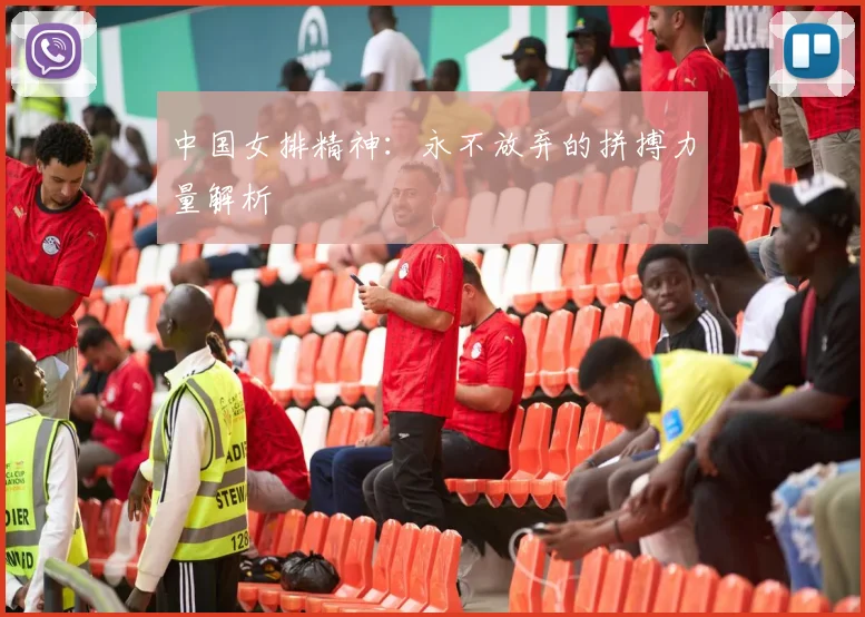 中国女排精神:永不放弃的拼搏力量解析