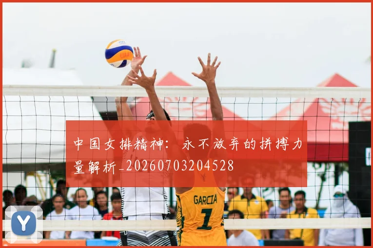 中国女排精神：永不放弃的拼搏力量解析_20260703204528